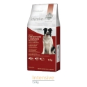 Intesive