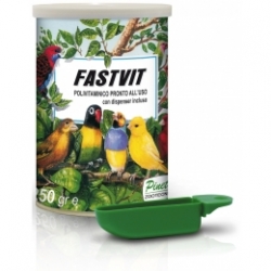Fast Vit 250gr (El Multivitamínico de los Campeones)