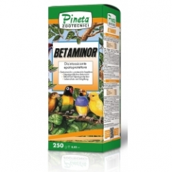 Betaminor + Betaina 250gr (liquido)