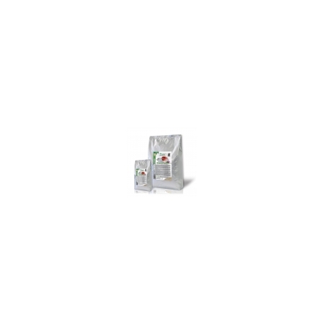 White Past 19 9kg (Reproducción y Destete)