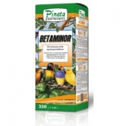 Betaminor + Betaina 1000ml